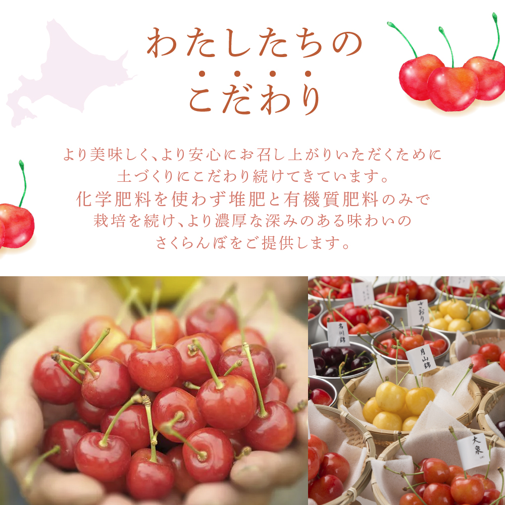 【先行受付】さくらんぼ 勝錦1kg（500g×2パック）サクランボ 赤 大橋 オリジナル 希少