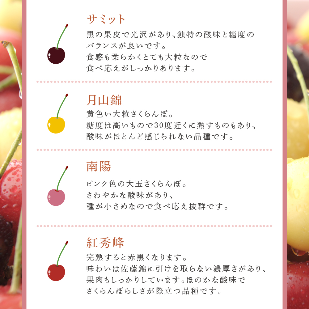 【先行受付】さくらんぼ 赤 南陽2kg（500g×4パック）高級 なんよう サクランボ 芦別産 赤