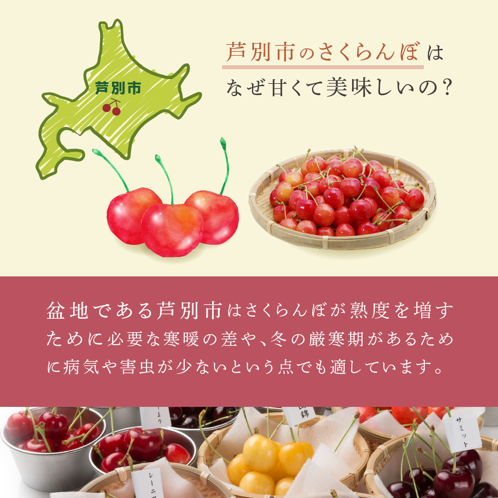 【先行受付】スタックゴールド黄 2kg（500g×4パック）サクランボ 黄 大橋 芦別 希少 大容量