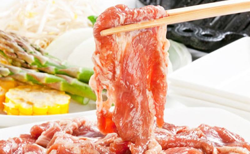 タレにこだわり！ 特撰ラムジンギスカン 計900g (300g × 3個) 小分けパック ラム ジンギスカン 冷凍 焼肉 北海道 芦別市 赤くら