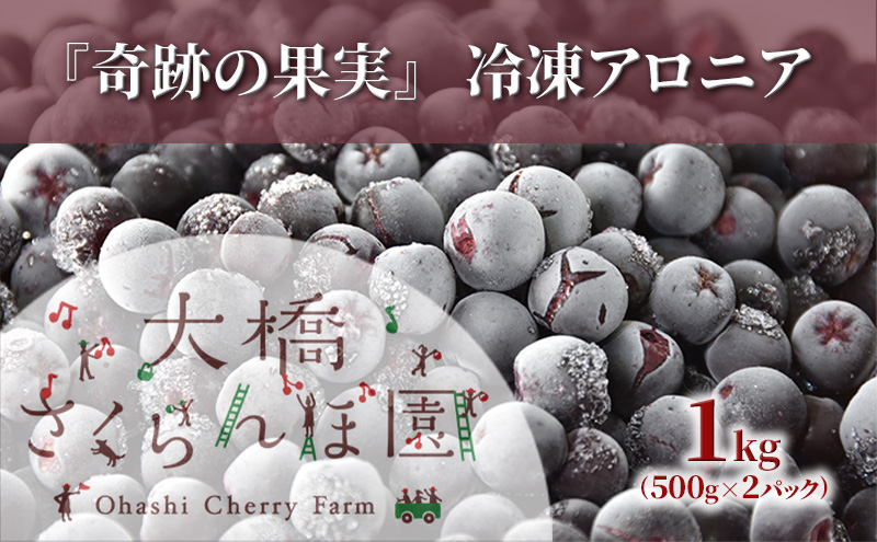 冷凍アロニア 500g × 2パック 1kg 冷凍 アロニア 果物 くだもの フルーツ 旬の果物 旬のフルーツ 大橋さくらんぼ園 果物類 フルーツ デザート 完熟 急速冷凍 新鮮 美味しい 人気 冷凍配送 北海道 芦別市