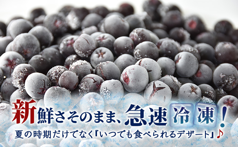 冷凍アロニア 500g × 2パック 1kg 冷凍 アロニア 果物 くだもの フルーツ 旬の果物 旬のフルーツ 大橋さくらんぼ園 果物類 フルーツ デザート 完熟 急速冷凍 新鮮 美味しい 人気 冷凍配送 北海道 芦別市