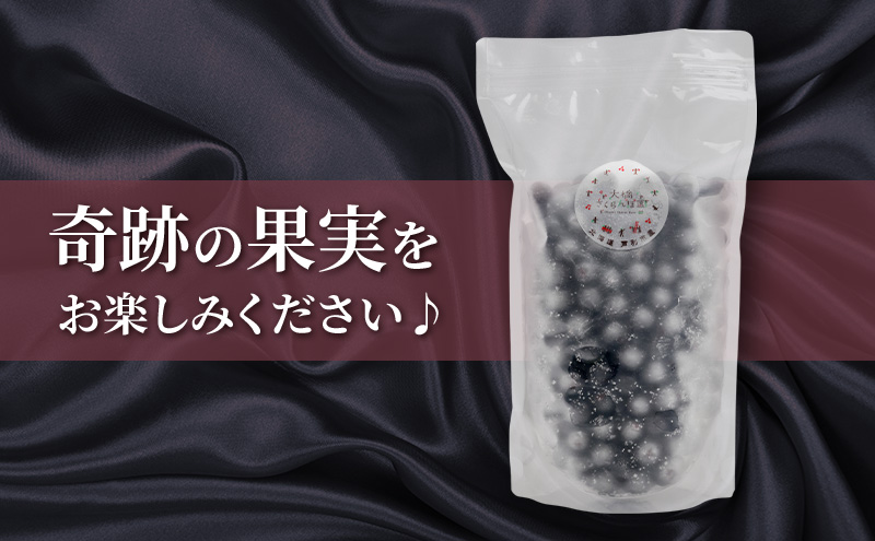 冷凍アロニア 500g × 2パック 1kg 冷凍 アロニア 果物 くだもの フルーツ 旬の果物 旬のフルーツ 大橋さくらんぼ園 果物類 フルーツ デザート 完熟 急速冷凍 新鮮 美味しい 人気 冷凍配送 北海道 芦別市
