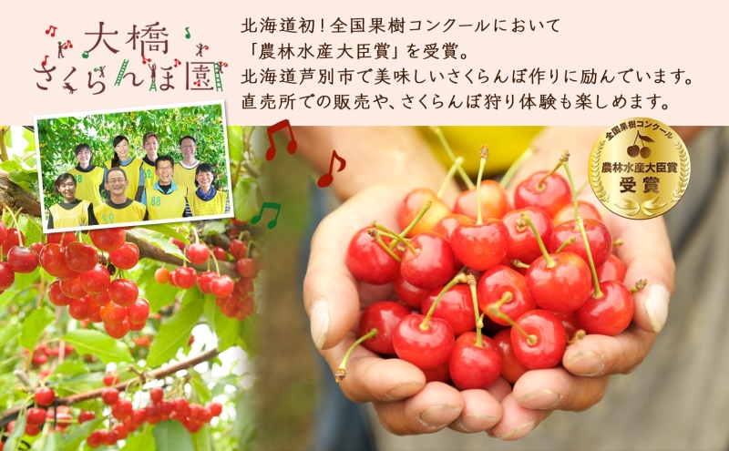 冷凍アロニア 500g × 2パック 1kg 冷凍 アロニア 果物 くだもの フルーツ 旬の果物 旬のフルーツ 大橋さくらんぼ園 果物類 フルーツ デザート 完熟 急速冷凍 新鮮 美味しい 人気 冷凍配送 北海道 芦別市