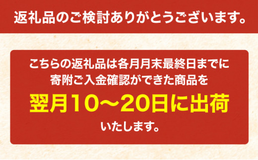 6ヵ月 定期便 無洗米 北海道 喜ななつぼし 300g (ホクレン米) 獲得 白米 お取り寄せ ごはん 道産米 ブランド米 300グラム お米 ご飯 米 北海道米 送料無料 北海道 芦別市