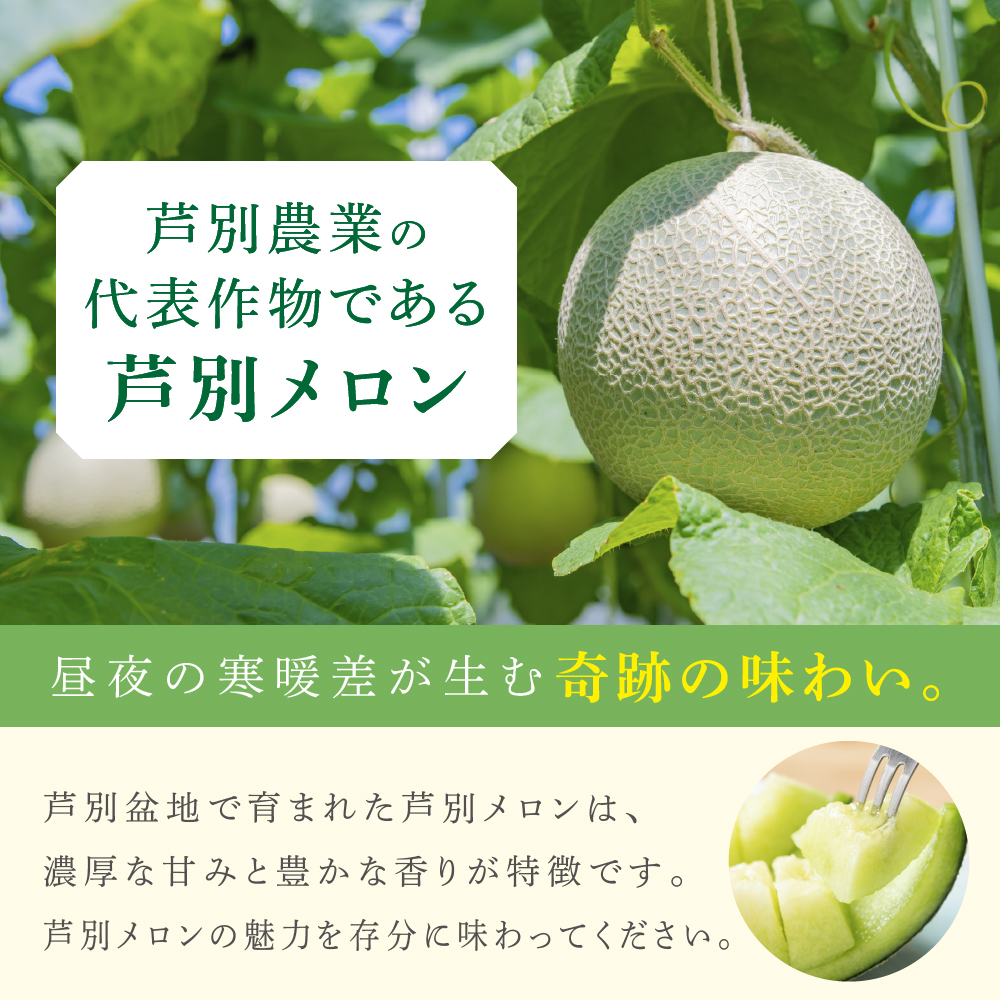 【北海道 芦別メロン】青肉 メロン 2玉セット 各1.3kg  計2玉 北海道 芦別市 果物 メロン 甘い ジューシー フルーツ ギフト お中元