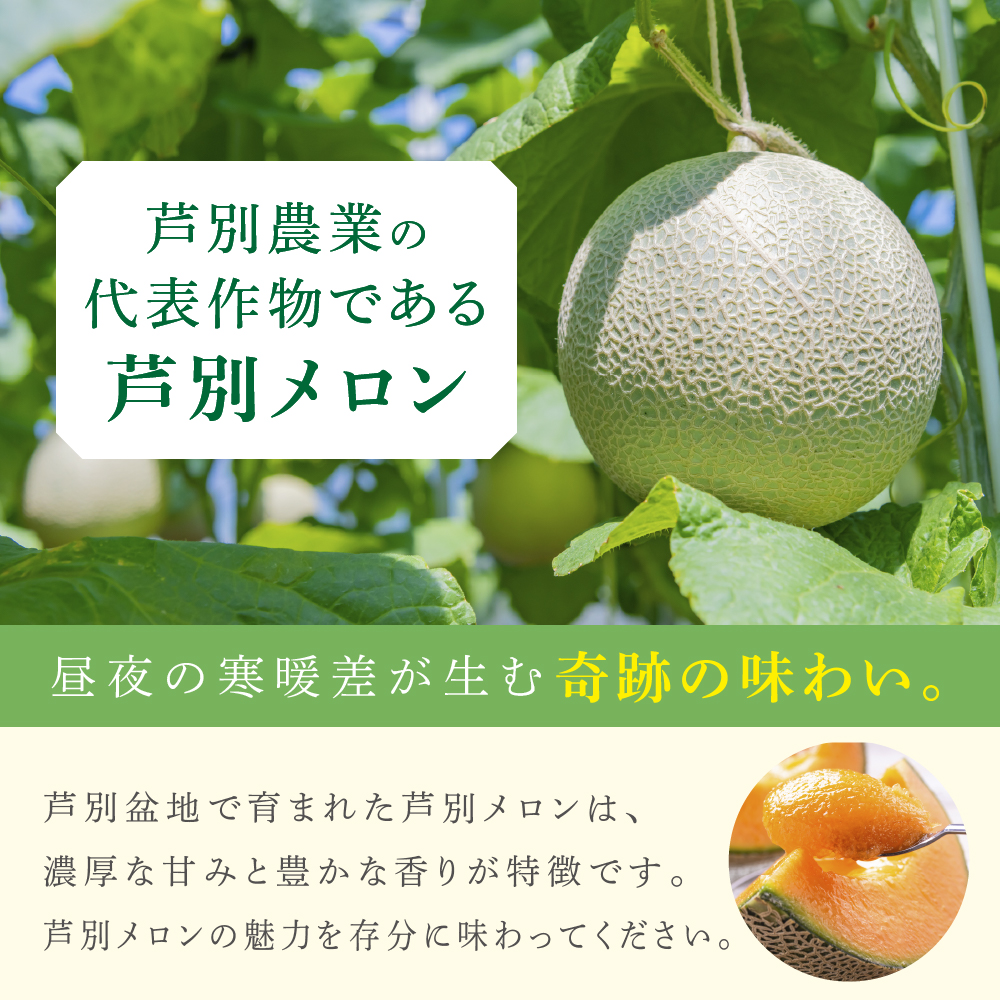 【北海道 芦別メロン】赤肉 メロン 2玉セット 各1.5kg  計2玉 北海道 芦別市 果物 メロン 甘い ジューシー フルーツ ギフト お中元
