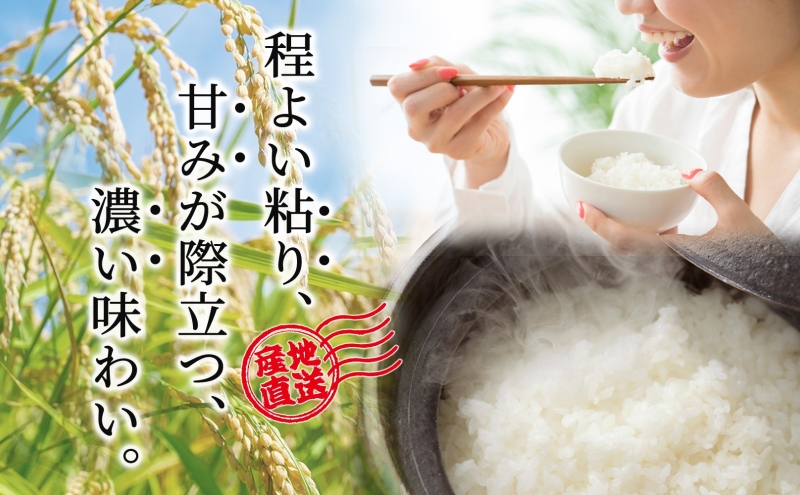 米 令和7年産 ゆめぴりか 10kg 北海道米 芦別米 精米 白米 お米 コメ こめ ごはん ご飯 炊き立て おいしい お取り寄せ 産地直送 送料無料 農家直送 ファームなかむら 貞子の家 北海道