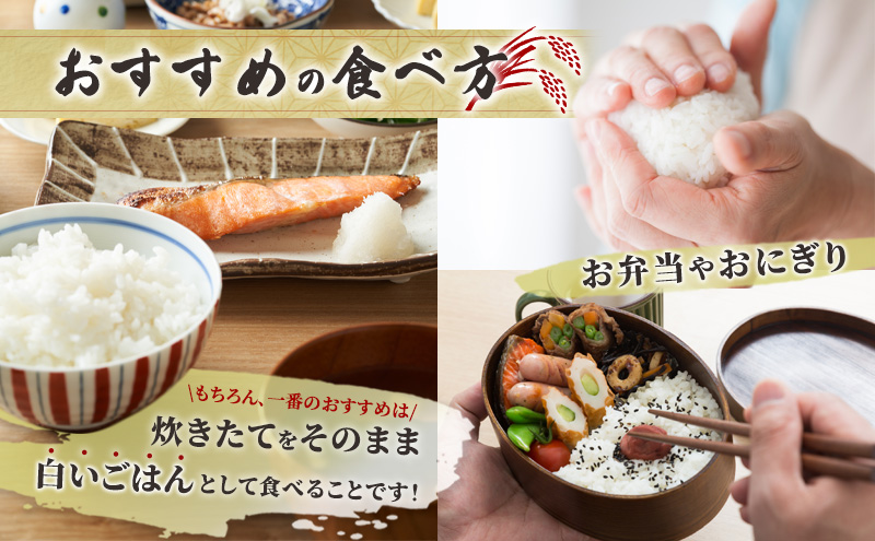 米 ゆめぴりか 無洗米 10kg 白米 精米 産地直送 お米 単一原料米 ブランド米 特A米 特A 10キロ 北海道 北海道産 ご飯 ごはん こめ コメ 送料無料 令和7年産 北海道 芦別 芦別市