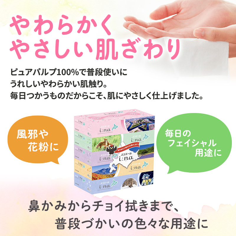 【定期便 2ヵ月連続お届け】 エリエール ハーフサイズ 収納に便利 コンパクト 少量6パック i:na 北海道 ティシュー 150組 5箱 6パック 計30箱 フィルムレス ふるさと納税限定デザイン イーナ 箱ティッシュ 備蓄品