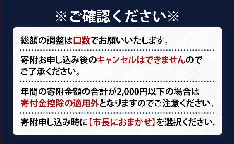北海道 赤平市 寄附のみの応援受付 25,000円コース（返礼品なし 寄附のみ 25000円）