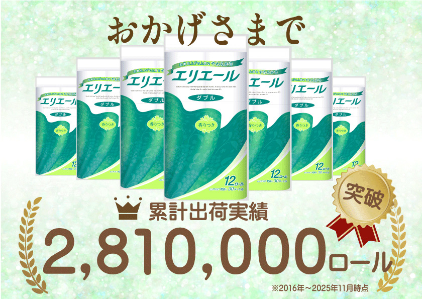 定期便 2ヵ月連続お届け エリエール 収納に便利 コンパクト 〈アソート〉 トイレットペーパー ティッシュ トイレ ボックスティッシュ まとめ買い ペーパー ひとり暮らし 紙 防災 常備品 備蓄品 消耗品 備蓄 日用品 生活必需品 定番
