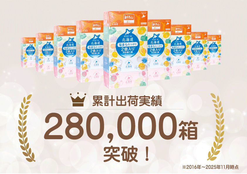 【2ヵ月連続お届け・計100箱】エリエール 北海道 ティシュー なまらたっぷり 300組5箱 10パック 大容量 まとめ買い 防災 常備品 備蓄品 消耗品 日用品 生活必需品 送料無料 赤平市