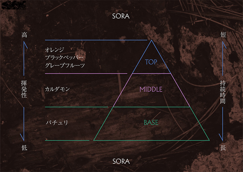 【3ヵ月連続お届け】アロマディフューザー SORA 200ml アロマグッズ 生命力サポート 行動力サポート 柑橘 フレッシュ フルーツ精油 スパイス リフレッシュ感