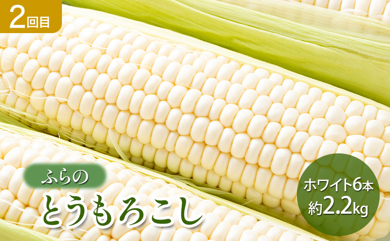【2026年春～秋発送】定期便 3ヵ月 初夏の彩り満喫 野菜セット 全3回 （ 野菜 新鮮 直送 アスパラ とうもろこし じゃがいも 男爵 道産 ふらの 送料無料 数量限定 北海道 富良野市 ）