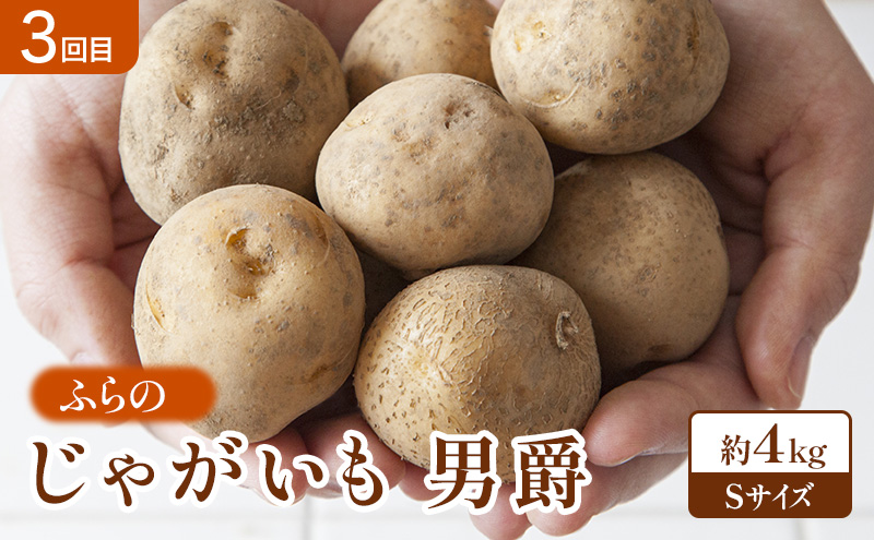 【2026年春～秋発送】定期便 3ヵ月 初夏の彩り満喫 野菜セット 全3回 （ 野菜 新鮮 直送 アスパラ とうもろこし じゃがいも 男爵 道産 ふらの 送料無料 数量限定 北海道 富良野市 ）