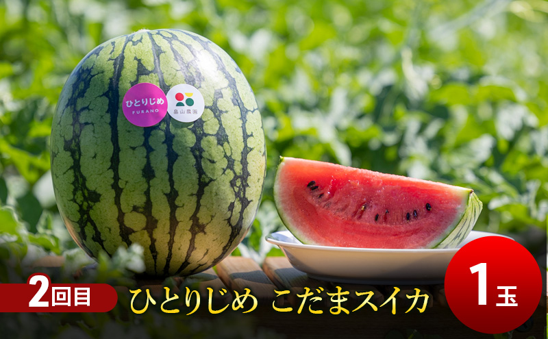 【7・8月 夏のフルーツ定期便2回】2026年夏発送 メロン1玉 約2kg こだまスイカ1玉 堪能 北海道 富良野産 すいか 西瓜  メロン 夏 フルーツ ふらの 甘い 糖度  ギフト (畠山農園）