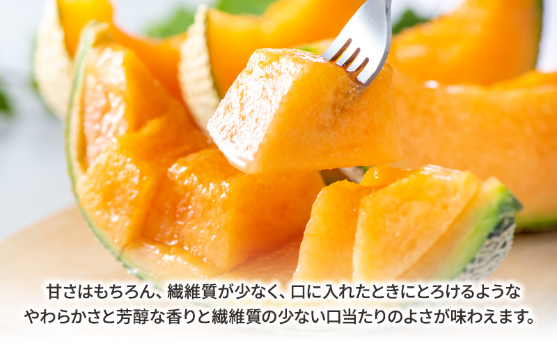 約3kgの特大 富良野メロン×1玉　富良野 メロン 赤肉 大きい ビッグサイズ 贈答 家族
