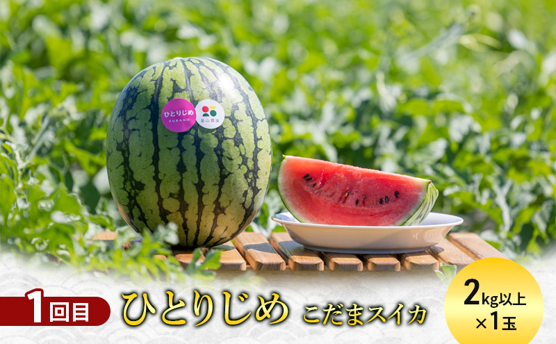 【定期便5回】大満足！自慢の北海道ふらの逸品 人気商品 詰め合わせ ご馳走 定期便 スイーツ チーズ ワイン ジンギスカン メロン スイカ 野菜 果物 加工品 保存食 酒