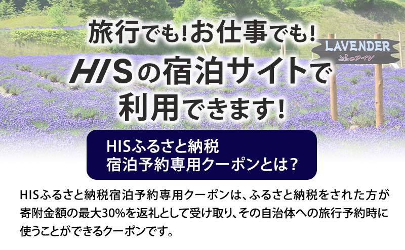 HISふるさと納税宿泊予約専用クーポン（北海道富良野市）3,000円分