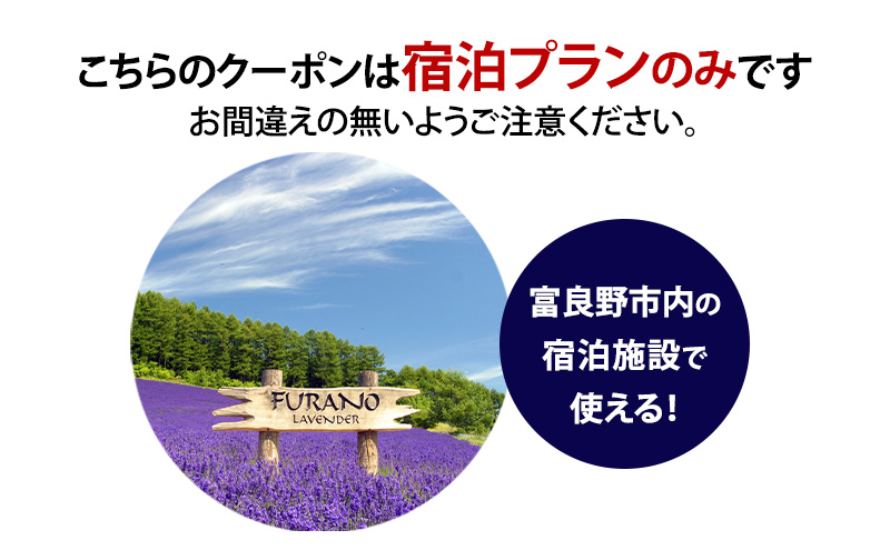 HISふるさと納税宿泊予約専用クーポン（北海道富良野市）3,000円分