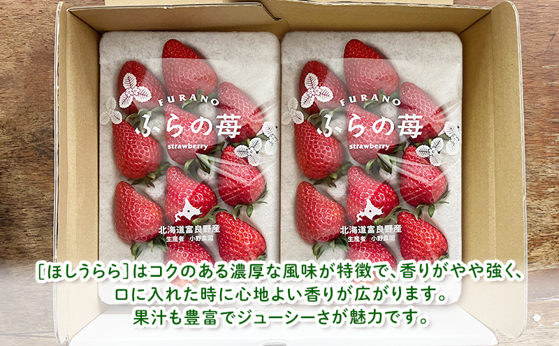 【2026年先行予約】 富良野産 いちご ほしうらら 小玉 10～12粒×2パック　［ フルーツ 果物 新鮮 贈り物 ギフト フルーツ 生いちご イチゴ 苺 大粒 甘い 道産 北海道 富良野 ］