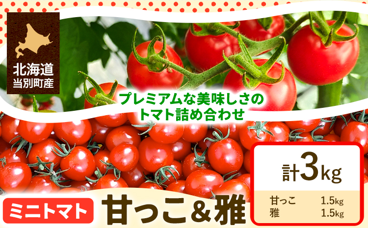 1-8-269】北海道当別町産化学農薬不使用ミニトマト：甘っ子 雅 3kg: 当別町ANAのふるさと納税