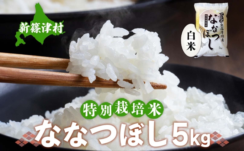 北海道 特別栽培 ななつぼし 5kg 精米 米 白米 お米 新米 ごはん ご飯 ライス 道産米 ブランド米 新しのつ米 ふっくら 食味ランキング  産地直送 お取り寄せ カワサキ森田屋 送料無料: 新篠津村ANAのふるさと納税