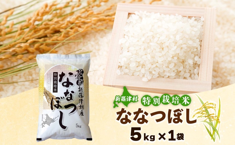 北海道 特別栽培 令和7年産 ななつぼし 5kg 精米 米 白米 お米 新米 ごはん ご飯 ライス 道産米 ブランド米 新しのつ米 ふっくら 食味ランキング  産地直送 お取り寄せ カワサキ森田屋 送料無料