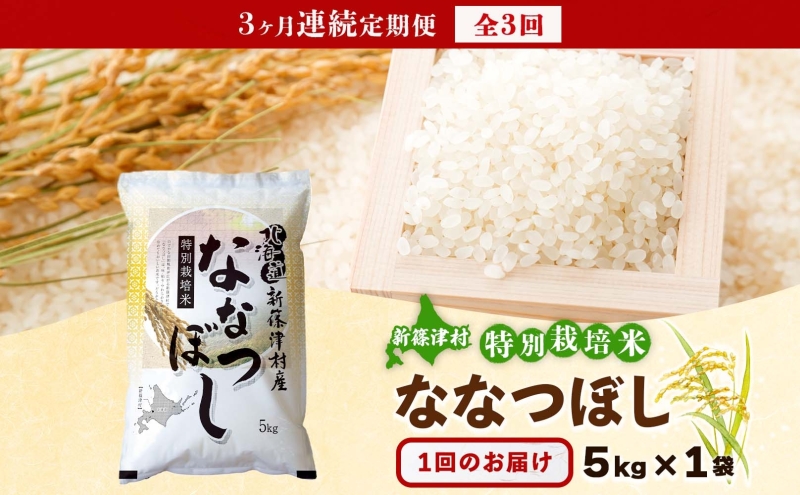 定期便 3ヵ月 北海道 特別栽培 令和7年産 ななつぼし 5kg 精米 米 白米 お米 新米 ごはん ご飯 ライス 道産米 ブランド米 新しのつ米 ふっくら 食味ランキング  産地直送 お取り寄せ カワサキ森田屋 送料無料
