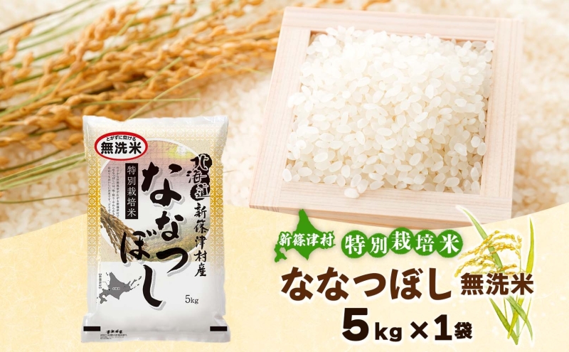 北海道 特別栽培 令和7年産 ななつぼし 5kg 無洗米 精米 米 白米 お米 新米 ごはん ご飯 ライス 道産米 ブランド米 新しのつ米 ふっくら 食味ランキング  産地直送 お取り寄せ カワサキ森田屋 送料無料