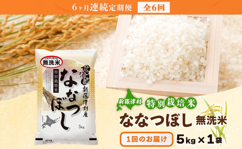 定期便 6ヵ月 北海道 特別栽培 令和7年産 ななつぼし 5kg 無洗米 精米 米 白米 お米 新米 ごはん ご飯 ライス 道産米 ブランド米 新しのつ米 ふっくら 食味ランキング  産地直送 カワサキ森田屋 送料無料