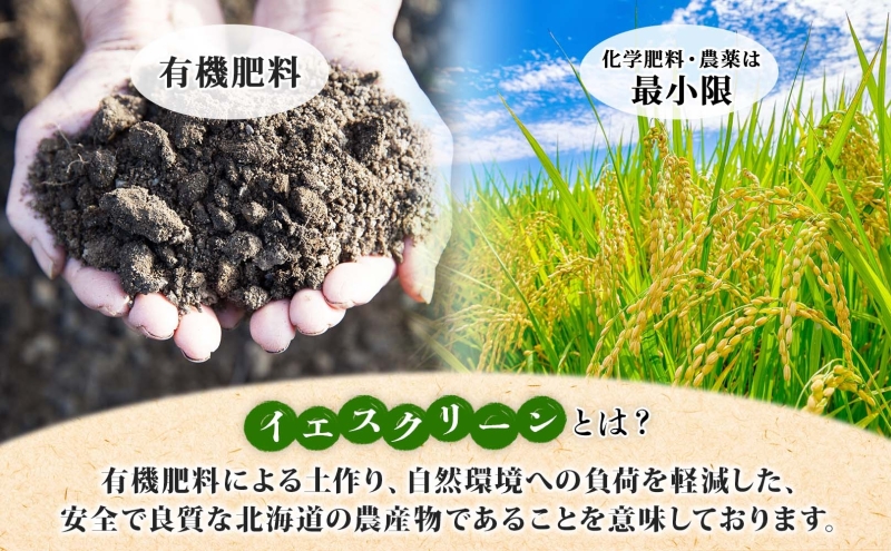 北海道 イエスクリーン米 令和7年産 ななつぼし 5kg 精米 米 白米 お米 新米 ごはん ご飯 ライス 道産米 ブランド米 新しのつ米 ふっくら 食味ランキング  産地直送 カワサキ森田屋 送料無料