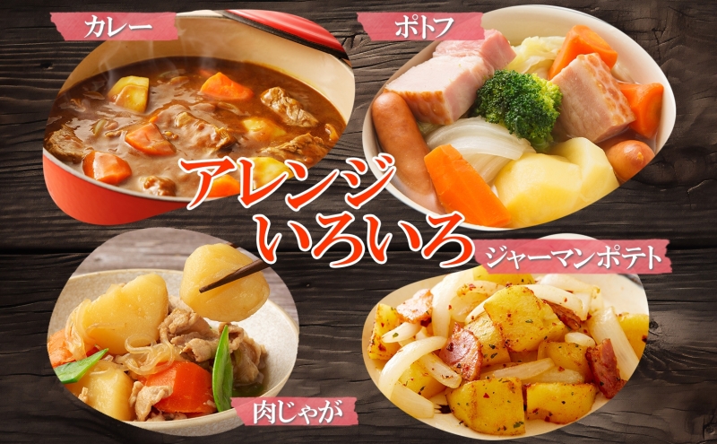 北海道産 じゃがいも キタアカリ5kg 玉ねぎ 3kg Lサイズ 計約8kg ジャガイモ 北あかり 馬鈴薯 ポテト 玉葱 常備野菜 根菜 産直 JAようてい 送料無料 北海道 倶知安町