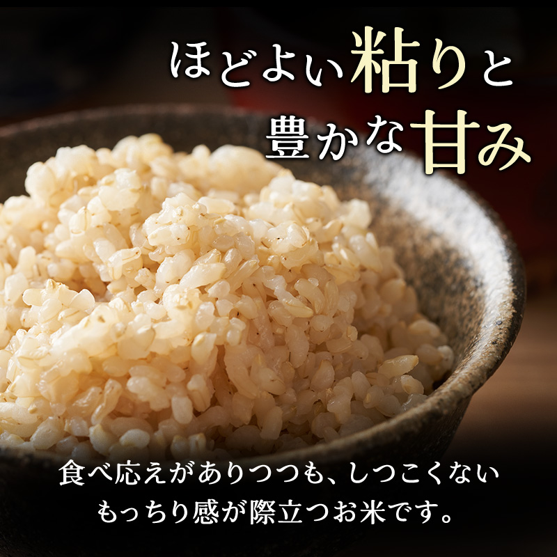 6ヵ月 定期便 (玄米12kg)ホクレンゆめぴりか(3kg×4袋) 北海道米 お米 玄米 ごはん ご飯 ライス 和食 炭水化物 主食 おにぎり お弁当 ほど良い粘り 豊かな甘み つややか 特A [JA新おたる]