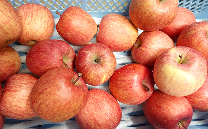 鶴田農園 自慢の贈り物「りんご（ふじ）」（北海道仁木町産） 果物類 くだもの 林檎 リンゴ 中減農薬 4キロ [鶴田農園]