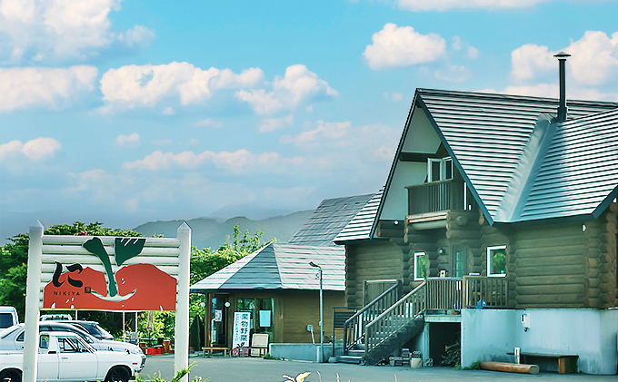 北海道 仁木町産 さくらんぼ 佐藤錦 600g（300g×2）Lサイズ以上 ジューシー 旬のフルーツ 旬の果物 国産 日本産 サクランボ チェリー フルーツ 果物 果物類 ギフト 仁木町 仁木 [ジャパーナプランニング株式会社]