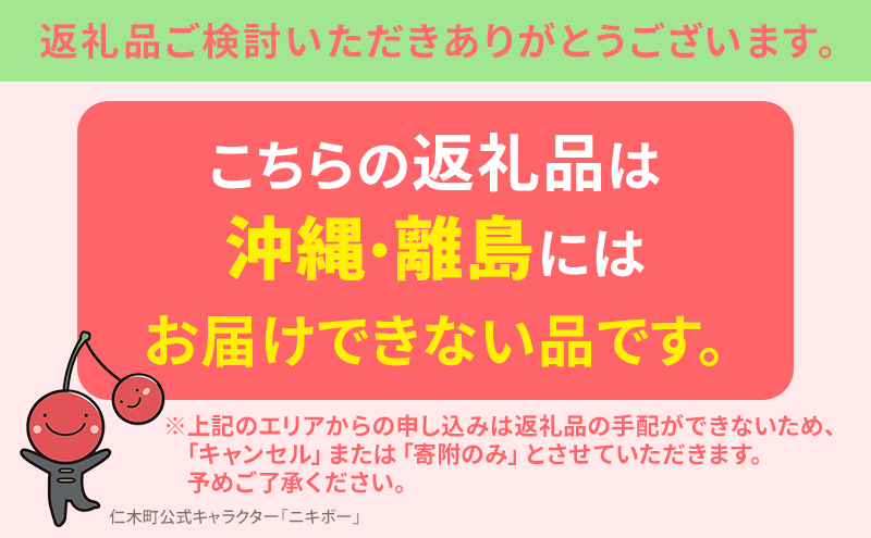 北海道 仁木町産 さくらんぼ 佐藤錦 600g（300g×2）Lサイズ以上 ジューシー 旬のフルーツ 旬の果物 国産 日本産 サクランボ チェリー フルーツ 果物 果物類 ギフト 仁木町 仁木 [ジャパーナプランニング株式会社]