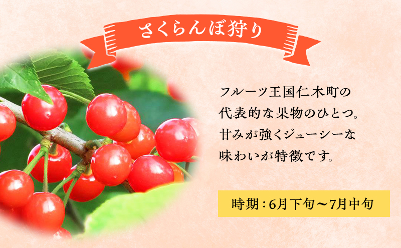 妹尾観光農園 フルーツ狩りチケット3000円 割引 チケット クーポン 利用券 フルーツ 旅行 体験 農園 北海道 仁木町 [フルーツショップ妹尾観光農園]