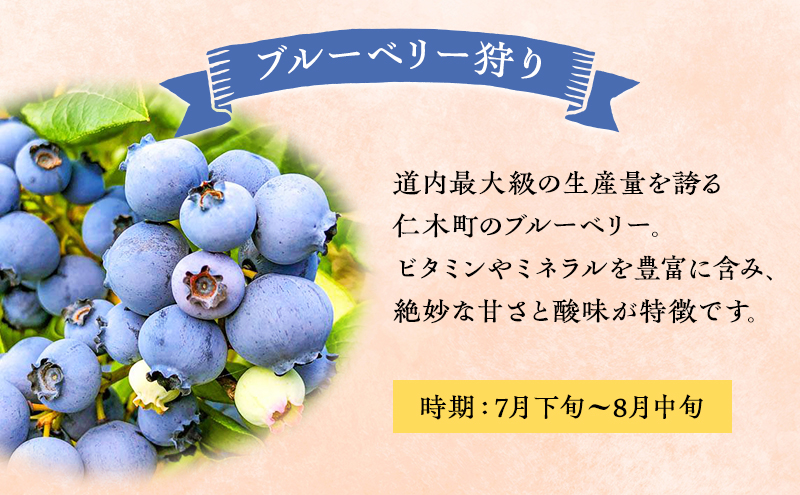 妹尾観光農園 フルーツ狩りチケット3000円 割引 チケット クーポン 利用券 フルーツ 旅行 体験 農園 北海道 仁木町 [フルーツショップ妹尾観光農園]