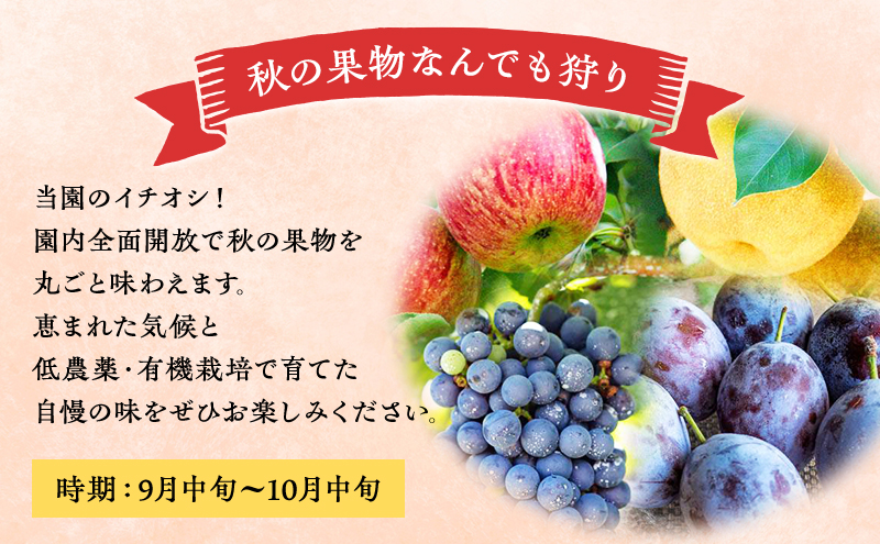 妹尾観光農園 フルーツ狩りチケット3000円 割引 チケット クーポン 利用券 フルーツ 旅行 体験 農園 北海道 仁木町 [フルーツショップ妹尾観光農園]