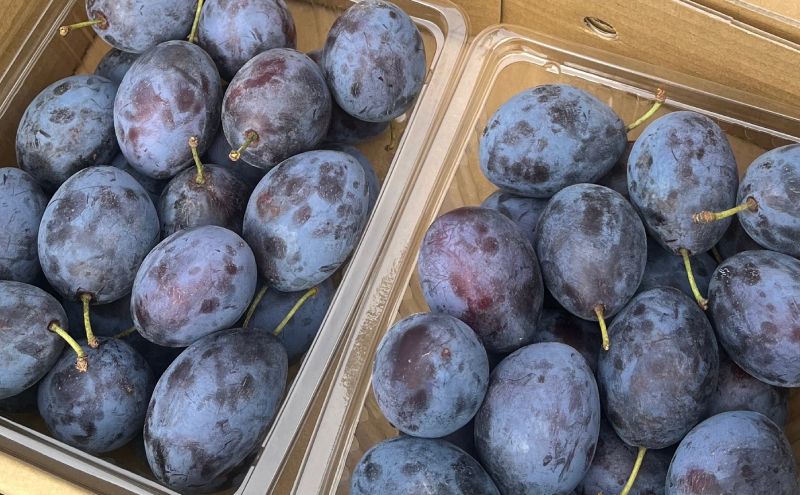 北海道仁木町産 プルーンジャム 120g×4本 [iori farm] 栽培期間中 除草剤不使用