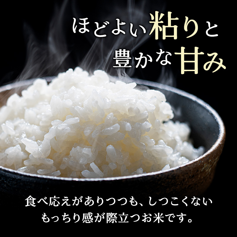 6ヵ月 定期便 (無洗米5kg)ホクレンゆめぴりか(無洗米5kg×1袋) お