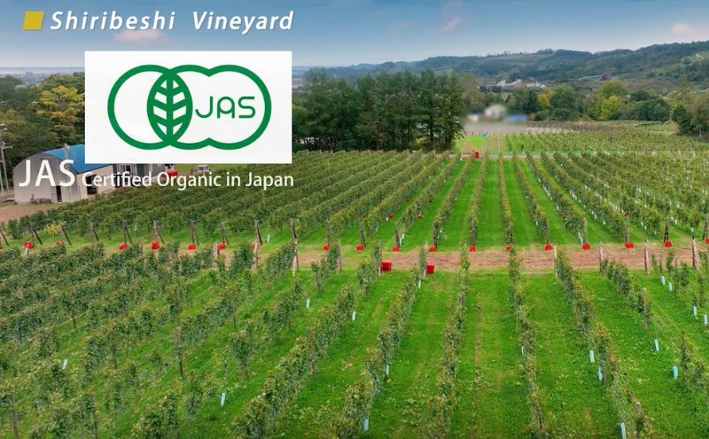 ケルナー・シャルドネ2023　試験醸(Experimental Batch)　ファーストヴィンテージワイン 飲み比べ 2本　JA新おたる ワイン 白ワイン 酒 アルコール