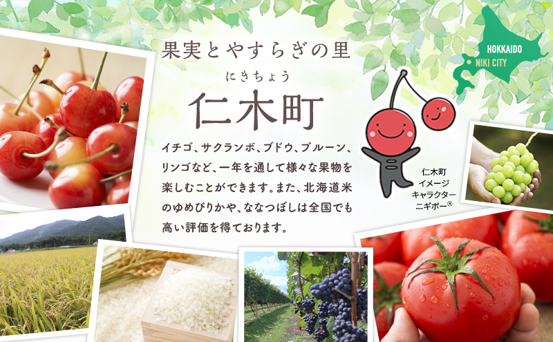 北海道 仁木町産 さくらんぼ 南陽 600g （300g×2） L・M混合 旬