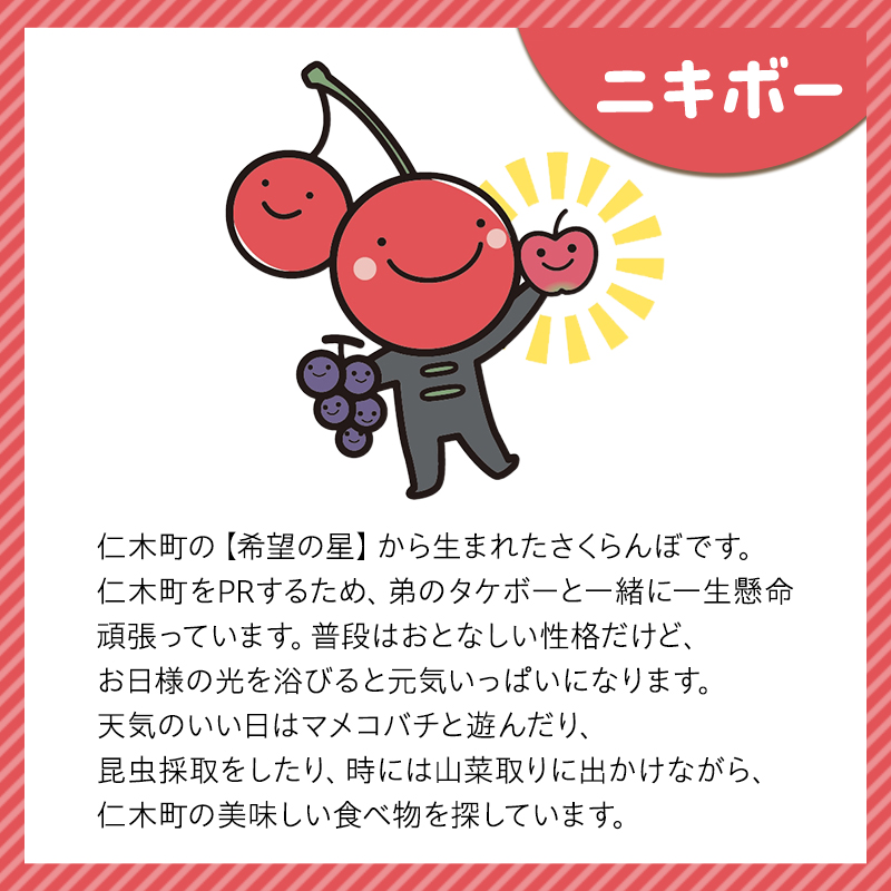 【ニキボー】グッズ詰め合わせセットB（ステッカー・ハンドタオル・スポーツタオル・ぬいぐるみストラップ）【 仁木町 ご当地 ゆるキャラ タオル 雑貨 小物 日用品 】[仁木町観光協会]