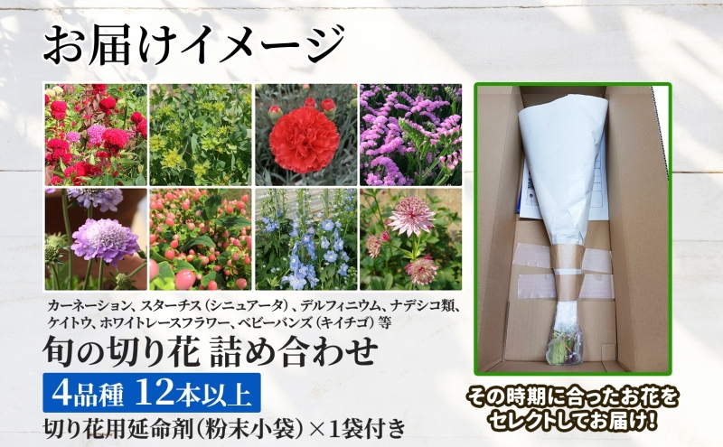 ＜2025年8月～10月まで3ヵ月連続お届け＞ 北海道 花 詰め合わせ 4品種 12本以上 切り花 切花 花束 ブーケ 季節 旬 生花 フラワー アレンジメント 記念日 産地直送 つきがたふるさと花の会