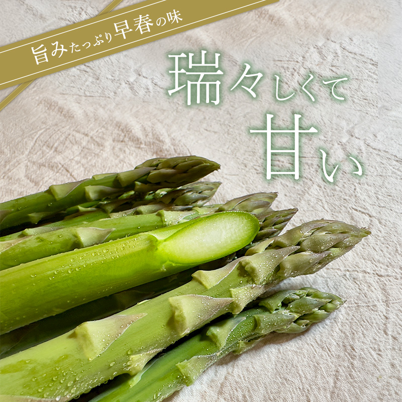 【令和7年産】先行予約 北海道 上富良野産 グリーン アスパラガス M サイズ 900g アスパラ 上富良野町 令和7年 発送 野菜 やさい【オンライン決済限定】