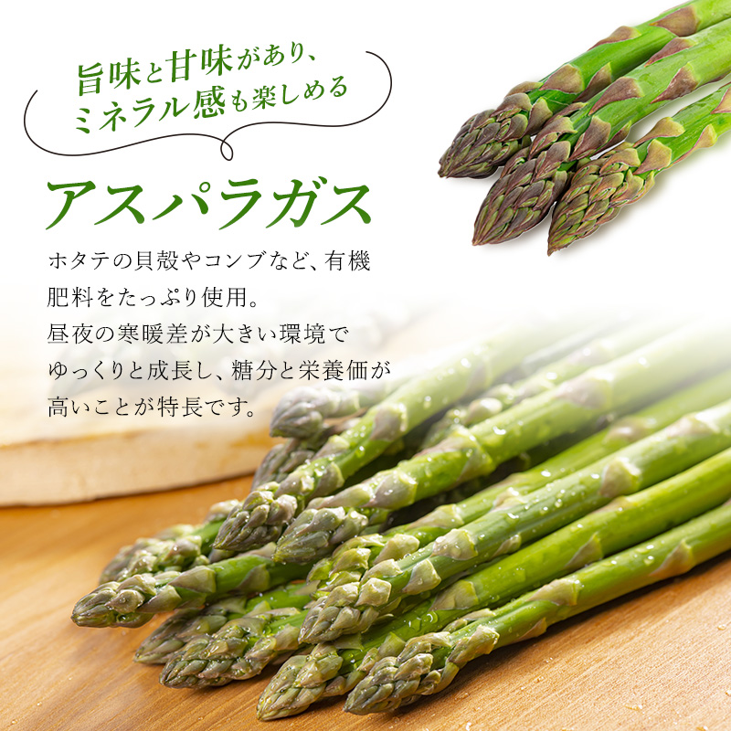【令和7年産】先行予約 北海道 上富良野産 グリーン アスパラガス M サイズ 900g アスパラ 上富良野町 令和7年 発送 野菜 やさい【オンライン決済限定】