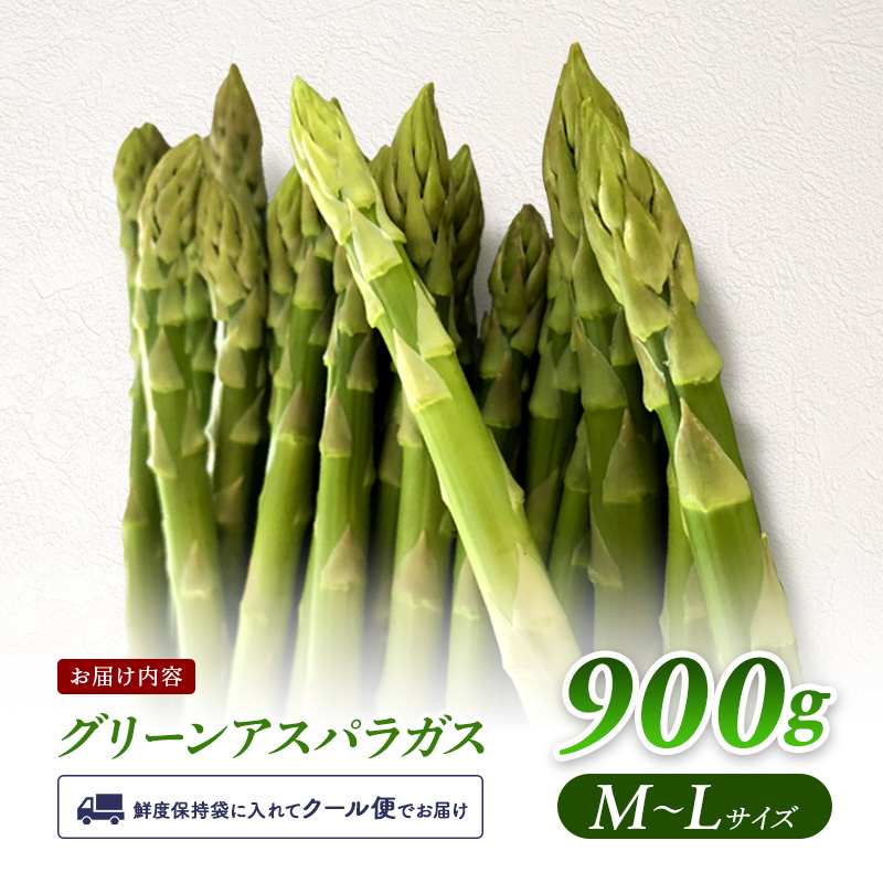 【令和7年産】先行予約北海道 上富良野産 グリーン アスパラガス M-L サイズ 900g アスパラ 上富良野町 令和7年 発送 野菜 やさい【オンライン決済限定】